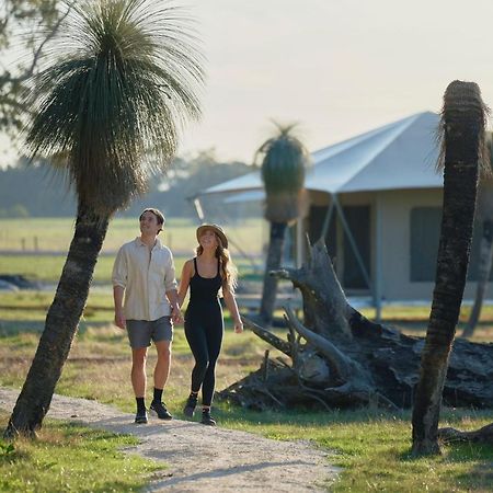 Willow Wood Glamping Retreat Broadwater Eksteriør bilde