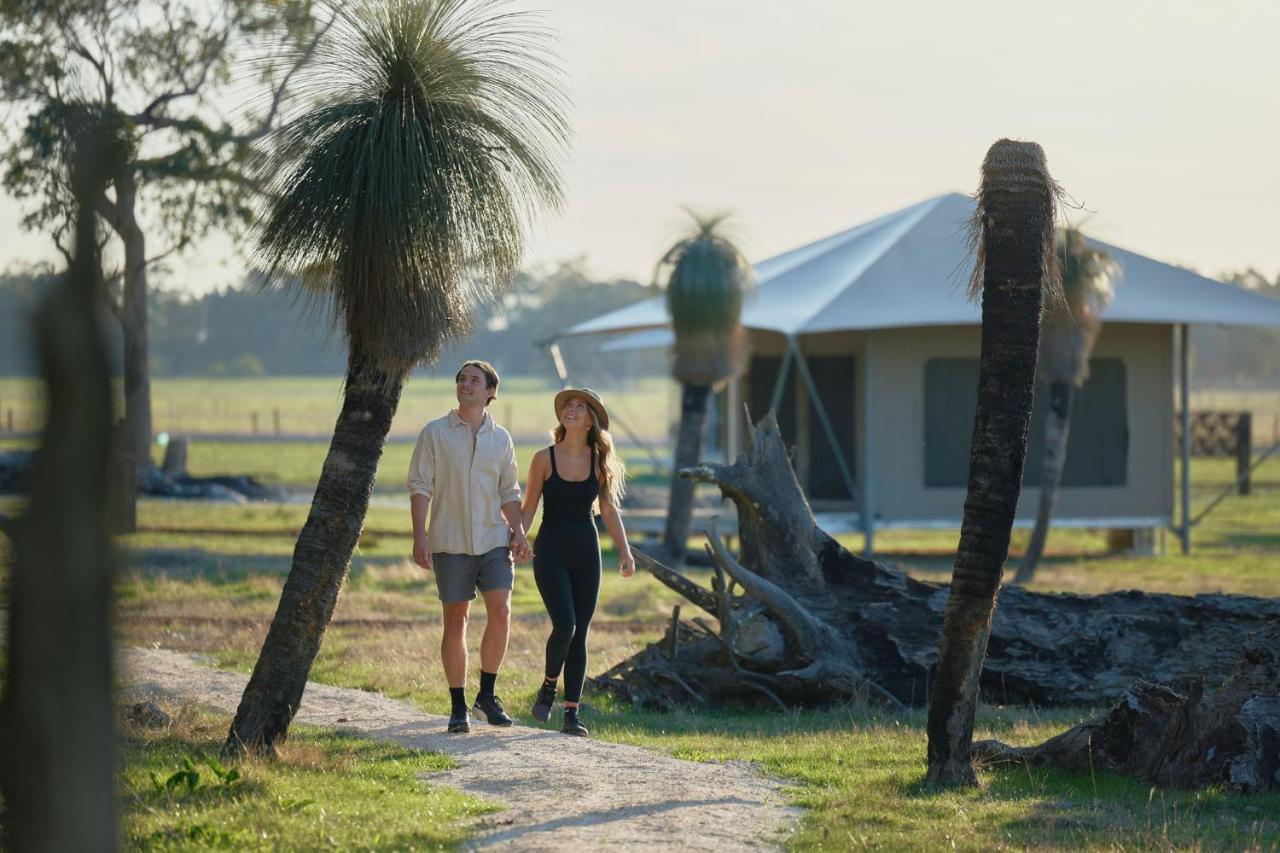 Willow Wood Glamping Retreat Broadwater Eksteriør bilde