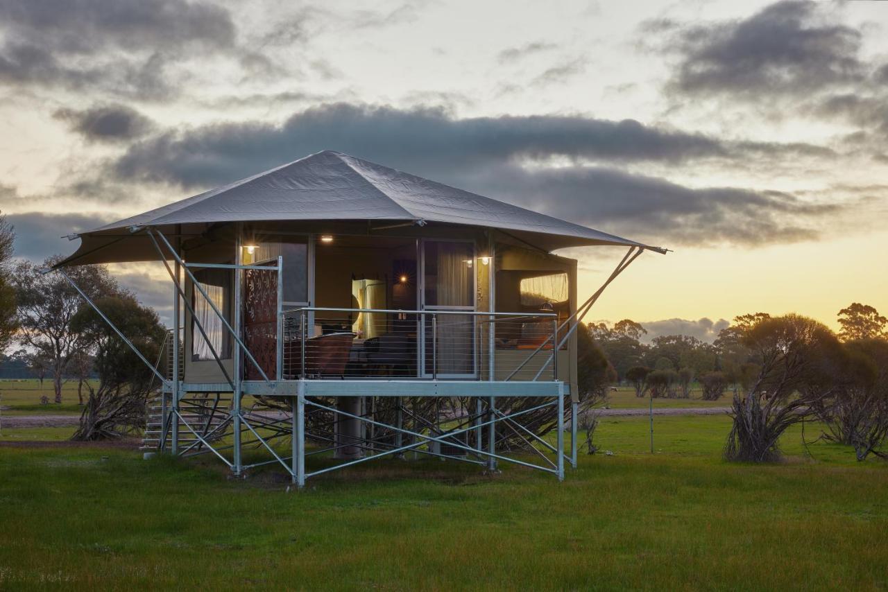 Willow Wood Glamping Retreat Broadwater Eksteriør bilde